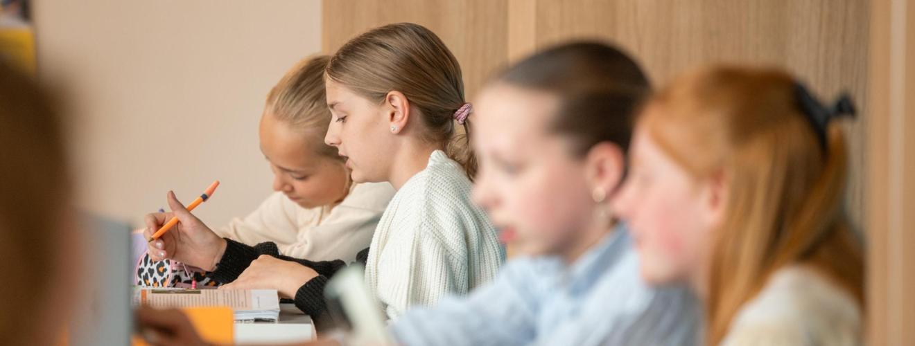 Samen Studeren op het Theresia (SST)